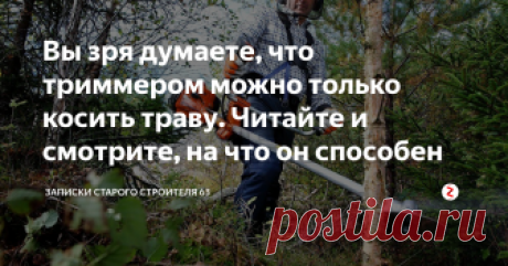 Вы зря думаете, что триммером можно только косить траву. Читайте и смотрите, на что он способен  Много раз наблюдал как косят газоны и траву на дачных участках, и мне захотелось узнать, на что еще годен этот агрегат, ведь наверное не только для сезонного использования.
Я подумал, что такой аппарат наверняка на многое способен, и не только для летних работ.
Решил посмотреть в интернете и то, что я нашел, меня просто поразило.
Оказывается, с помощью триммера практически все работы по саду и ого