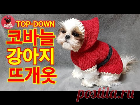 [써니의실노리]코바늘 탑다운 산타클로스 강아지 고양이 뜨개옷 ㅣHow to crochet a dog sweater