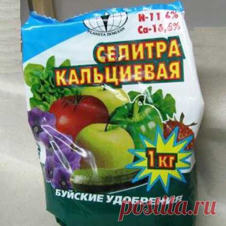 Кальциевая селитра для томатов, калийные удобрения для томата, суперфосфат для томатов. | Удобрения для огурцов и помидоров