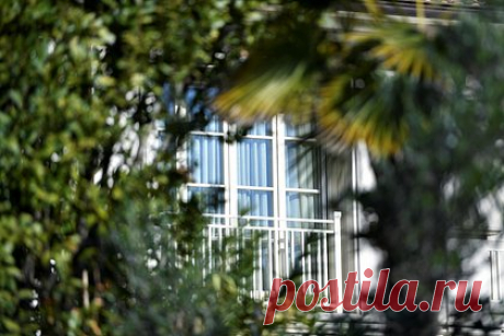 В США рассказали о новом способе слежки за Зеленским. США следует создать Центр по противодействию дезинформации по Украине из-за лжи правительства президента Владимира Зеленского. Об этом заявил старший научный сотрудник Института Катона, бывший специальный помощник экс-президента Соединенных Штатов Рональда Рейгана Даг Бэндоу.