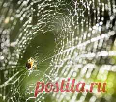 Мефодий Перепелятник. День памяти князя Святослава