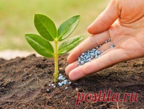 12 удобрений для сада почти даром!