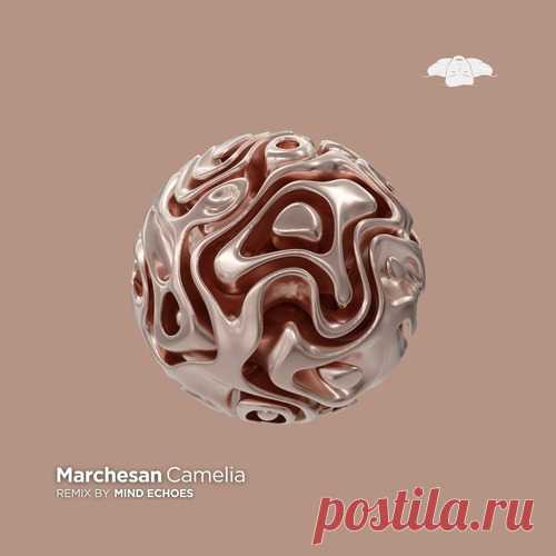 marchesan - Camelia free download mp3 music 320kbps
