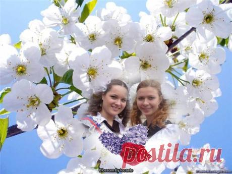 Замечательные коллажи на сайте Photo Montage..