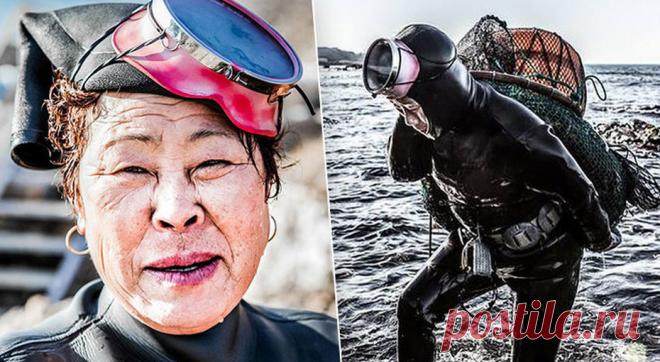 Храбрые русалки: тяжелая работа корейских ныряльщиц хэнё . Милая Я