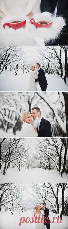 Лето зимой: свадьба Сергея и Юли - WeddyWood