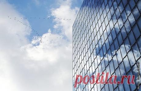 8-10-23- ТЫСЯЧА ПТИЦ ПОГИБЛА за один день, столкнувшись со зданием выставочного центра в Чикаго Около тысячи перелетных птиц погибли всего за один день, врезавшись в здание выставочного центра Маккормик Плэйс в Чикаго.