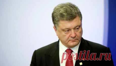 Порошенко ждет судьба Хусейна. Немецкий историк в письме Порошенко: политика США - &quot;яма со змеями&quot; | ТехРосИнфо