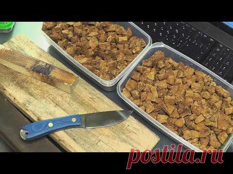 Березовая чага. Сбор, разделка и заварка. Как?