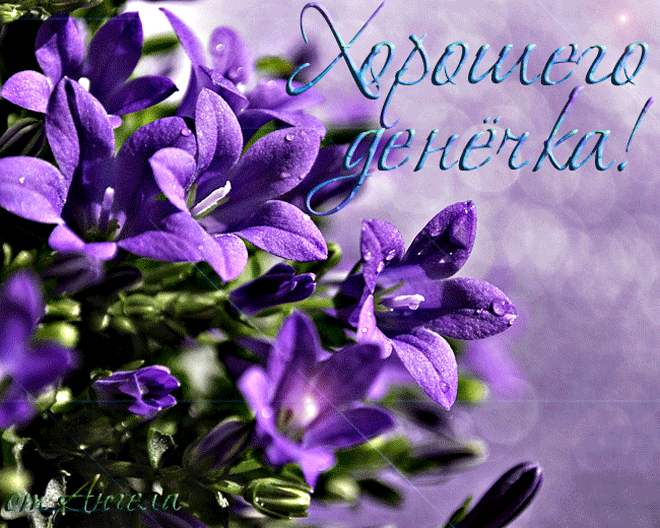 Отличного настроения!!!