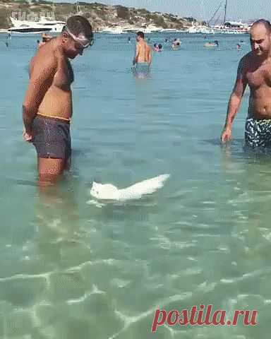 Одноклассники