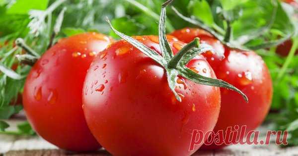Самые неприхотливые сорта томатов Томаты − это южная культура, однако есть разные сорта и гибриды, позволяющие выращивать неплохой урожай даже в самых сложных условиях. Главное, правильно подобрать растения для своего участка.