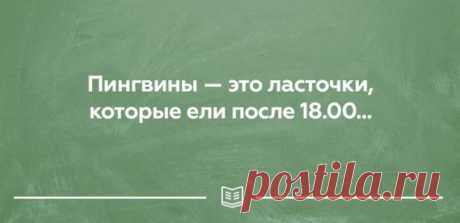 Открытки о правде жизни, в которых вы обязательно найдете что-то знакомое!