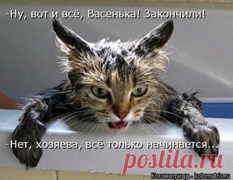 (460) Pinterest