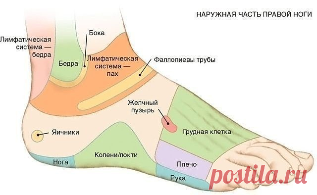 7 АКТИВНЫХ ТОЧЕК НА СТОПЕ ВЕРНУТ ВАС К ЖИЗНИ ЗА ПАРУ МИНУТ!
