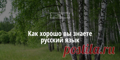 ТЕСТ: Насколько хорошо вы знаете русский язык - Лайфхакер