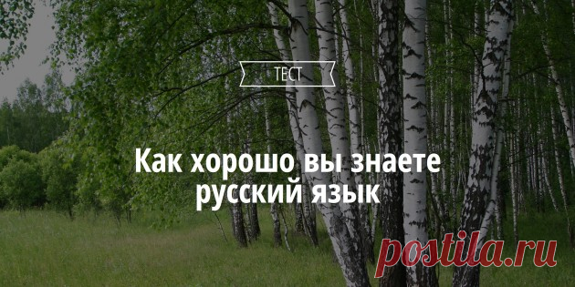 ТЕСТ: Насколько хорошо вы знаете русский язык - Лайфхакер
