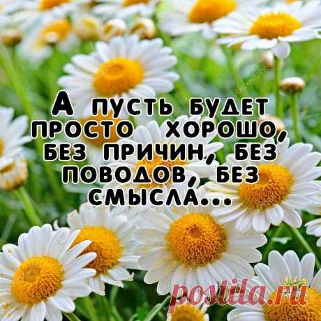 Самые добрые Вам пожеланья,
Радости, мира, улыбок, цветов
Пусть в Вашей жизни поселится счастье,
Пусть Вашим спутником будет любовь!