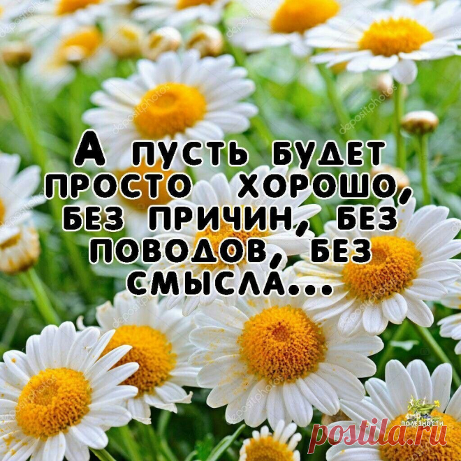 Самые добрые Вам пожеланья,
Радости, мира, улыбок, цветов
Пусть в Вашей жизни поселится счастье,
Пусть Вашим спутником будет любовь!