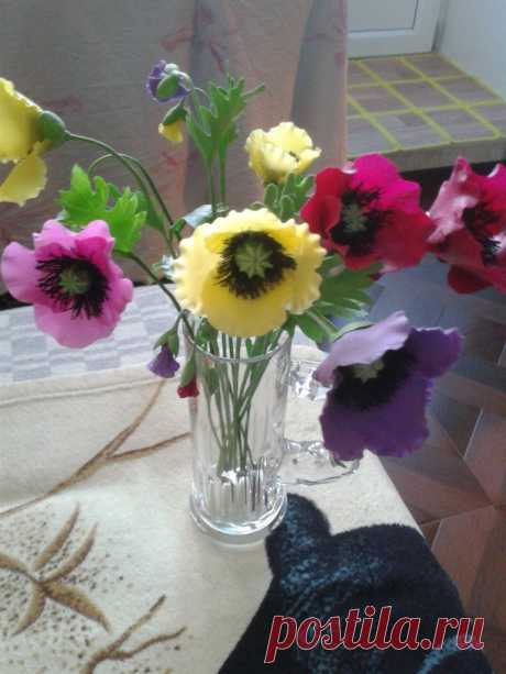 Фотографии Любы Назаровой – 8 альбомов