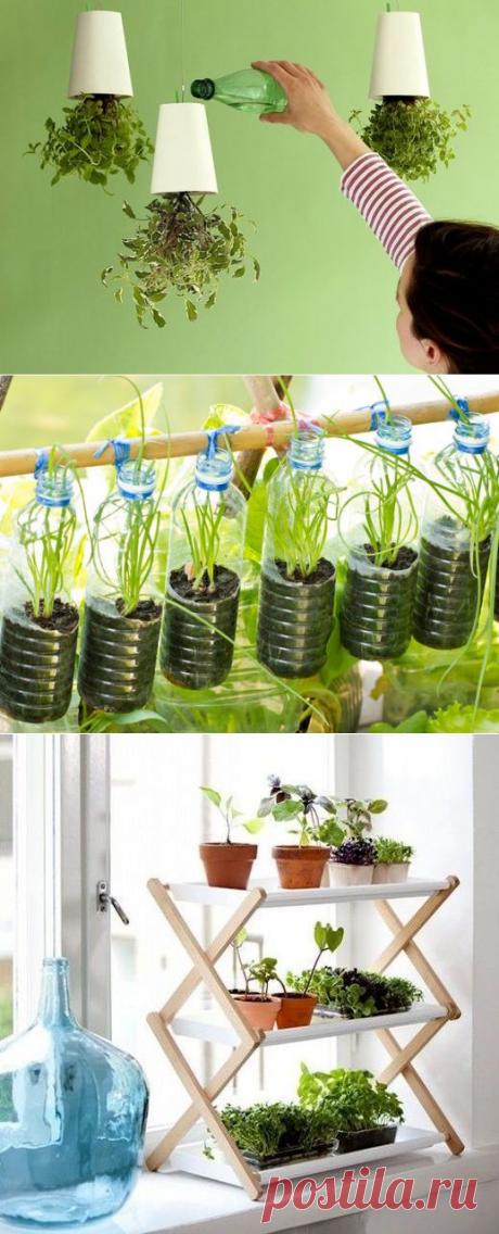 Где разбить домашний огород: подборка идей / домашний огород / 7dach.ru