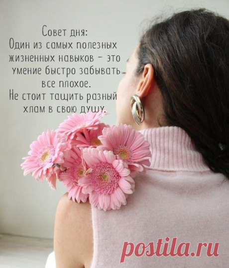 Без комментария