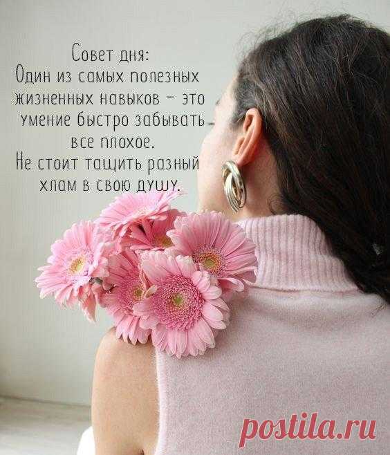 Без комментария