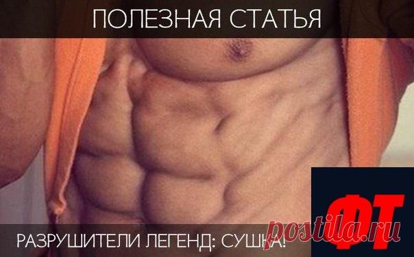 Разрушители легенд: сушка! — Полезные советы