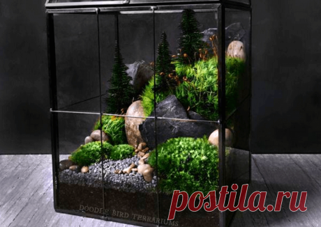 Флорариумы: виды, описание, идеи оформления ~ Planetalsad