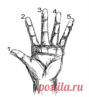 Если вы хотите добиться успеха в жизни, рекомендуем пользоваться этим методом каждый вечер! Метод «пяти пальцев» | Golbis