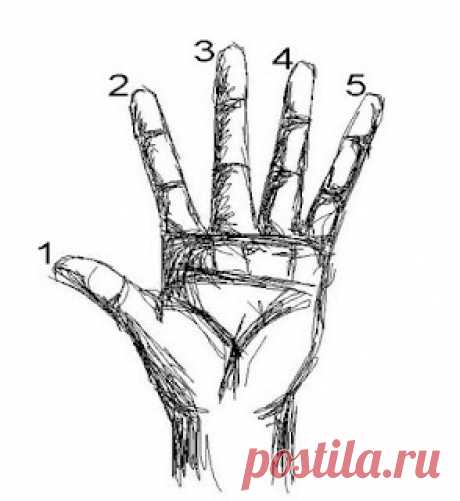 Если вы хотите добиться успеха в жизни, рекомендуем пользоваться этим методом каждый вечер! Метод «пяти пальцев» | Golbis