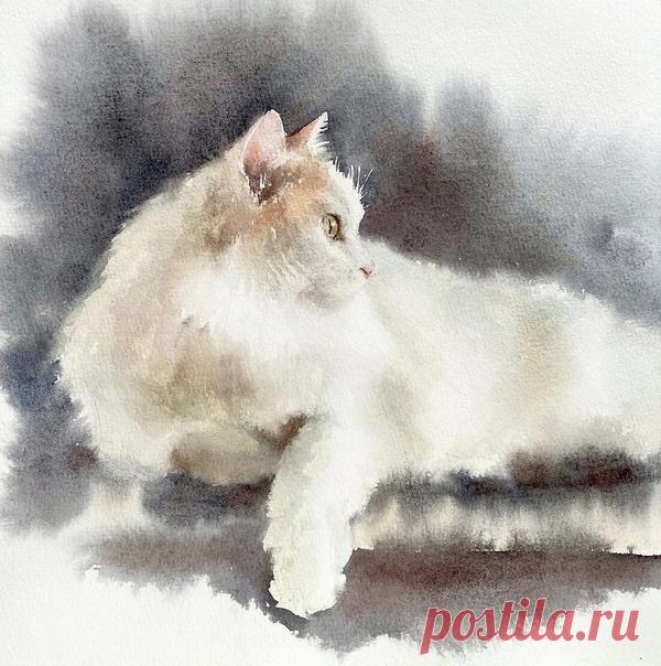 Внезапный порыв, на волне вашей поддержки, поэтому без предупреждений и подготовки:

Ловите Черную пятницу от меня! Распродажа моих курсов и мастер-классов в записи.

Только 11-13 ноября!!!

https://mariaostapenko.ru