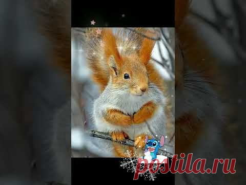 СКАЗОЧНАЯ ЗИМА ... #доброгодня