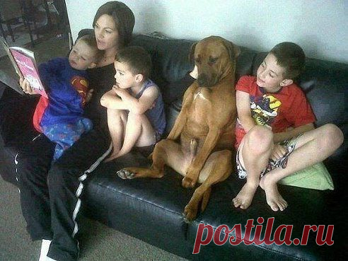 Одноклассники