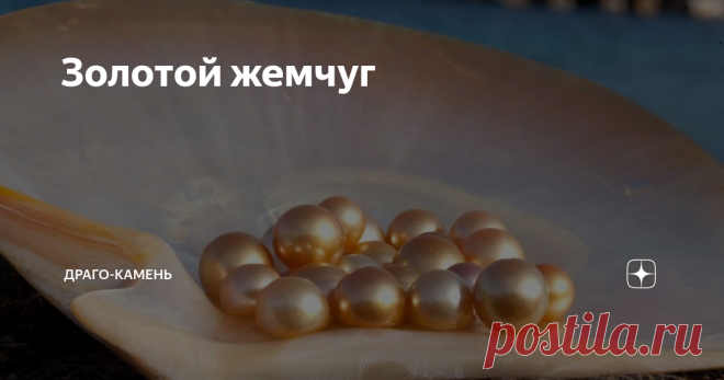 Золотой жемчуг Золотой жемчуг способны выращивать в себе только устрицы pictada maxima. Это сенсационное открытие принадлежит учёным, работающим на ферме «Тайтай» острова Палаван (Филиппины).
Сама ферма – часть огромной корпорации, которую возглавляет Жак Бронелекк. Он на протяжении 40 с лишним лет вкладывал свои сбережения в научные исследования, результат которых превзошёл все даже самые см