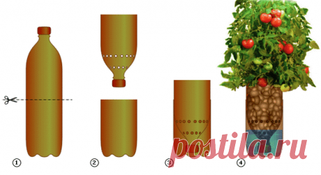 Опыт выращивания растений методом гидропоники
Хочу поделится своим опытом выращивания растений методом гидропоники.
Началось все с того, что пару лет назад увидел ролик, в котором показывали как выращивают клубнику в теплицах Голландии. На следу…