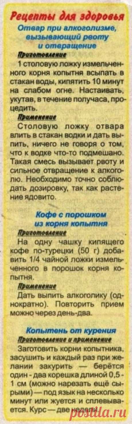 Копытень от алкоголизма и курения