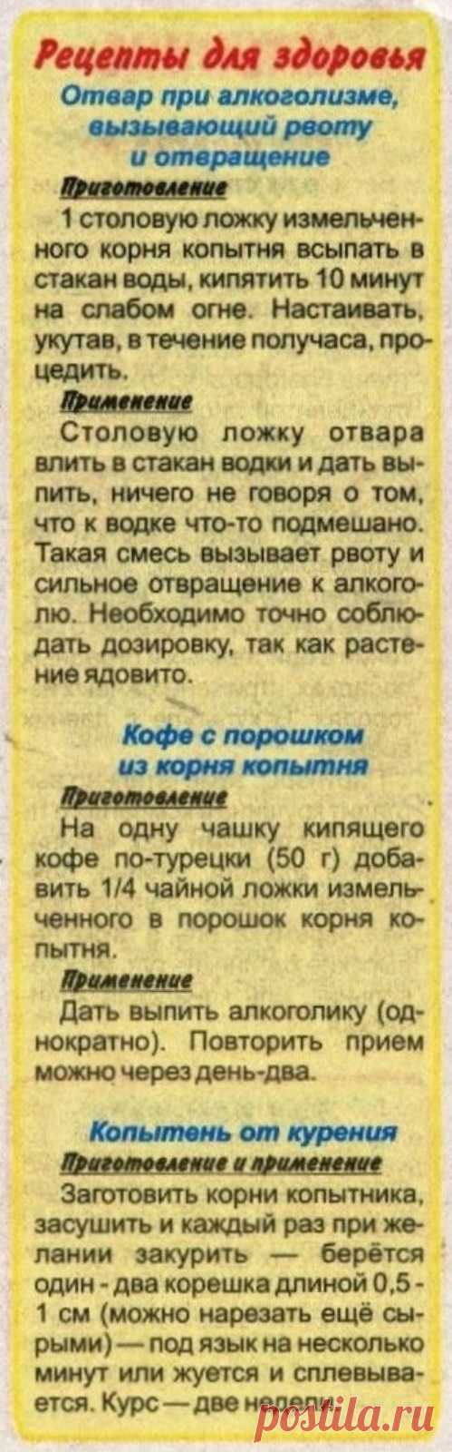 Копытень от алкоголизма и курения