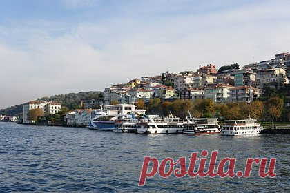 Россияне в 2024 году массово поедут отдыхать в четыре страны. Турция, Таиланд, ОАЭ и Египет останутся лидерами в выездном туризме у россиян в 2024 году. Вице-президент АТОР и руководитель холдинга «Русский Экспресс» Тарас Кобищанов также отметил, что при текущей структуре туристической аудитории в России Египет будет продолжать пользоваться меньшим спросом.