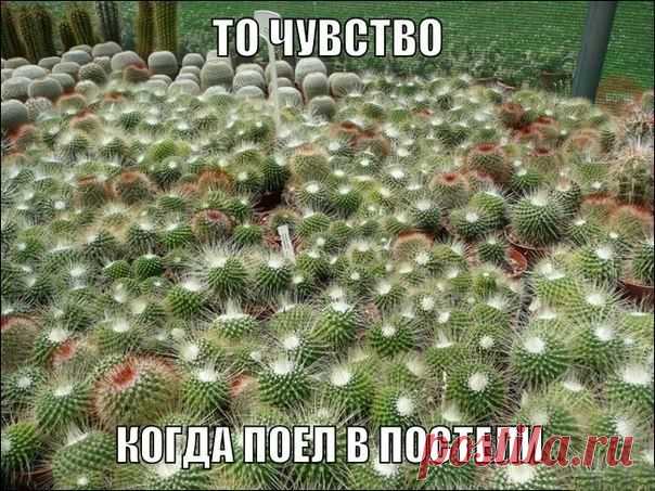 БОРЩ