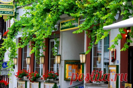 Рюдесхайм-на-Рейне - город в Германии, в земле Гессен