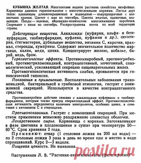Кубышка желтая