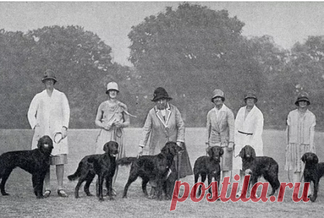 Страшная примета дальнобойщиков: кого больше всего опасаются встретить водители - Рамблер/субботний