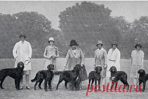 Страшная примета дальнобойщиков: кого больше всего опасаются встретить водители - Рамблер/субботний