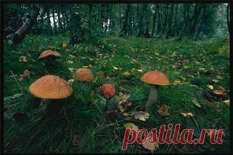 getImage (640×427)