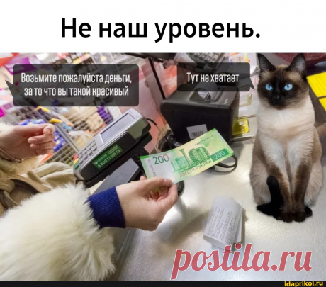Не наш уровень. Возьмите пожалуйста деньги, за то что вы такой красивый - АйДаПрикол