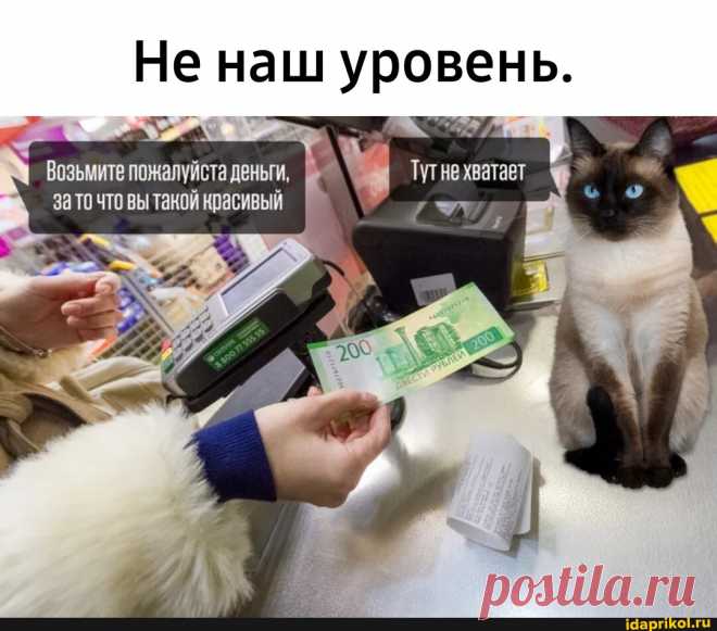 Не наш уровень. Возьмите пожалуйста деньги, за то что вы такой красивый - АйДаПрикол