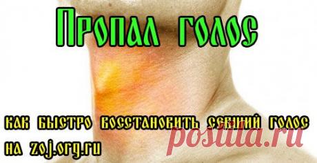Что делать если пропал голос – как и чем лечить ларингит? | За Здравие: методы лечения народными средствами в домашних условиях от Захара Олеговича Журавлева