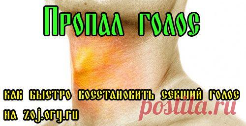 Что делать если пропал голос – как и чем лечить ларингит? | За Здравие: методы лечения народными средствами в домашних условиях от Захара Олеговича Журавлева