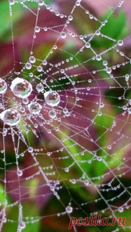 (31) Pinterest: инструмент для поиска и хранения интересных идей
